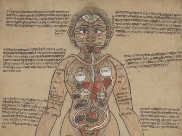 Ayurvedic Man: Ancient understandings of medicine